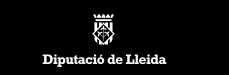 diputacio lleida logo