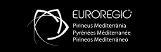 euroregio logo